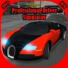 Professional Driver  Car Racing 20192020