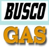 Busco GAS加速器