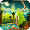 Ramzan Cricket加速器