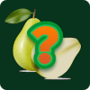 fruit quiz games