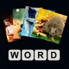 WhatsWord - Play to become a vocabulary master加速器