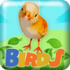 Birds 2048加速器