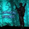 Surgical Strike加速器