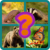 Guess The Animal Picture加速器