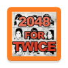 2048 for TWICE加速器