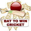 Bat To Win Cricket 2019加速器