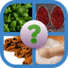 Spices Quiz