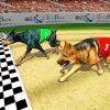 Real Dog Racing Tournament加速器