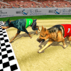 Real Dog Racing Tournament