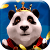 Pandavity加速器