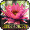 Hidden Object State of Zen