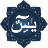 surahyaseen加速器