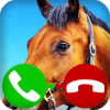 horse call simulation game加速器