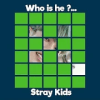 Guess STRAY KIDS Member加速器