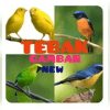 Tebak Gambar Siapa Aku New 2019