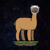 Space Alpaca  Jump high