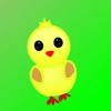 Hungry Duckling