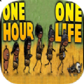One Hour One Life