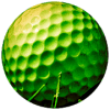 Mini Golf Arena