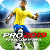 Pro Football 2019  Soccer 2019加速器