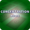 CONCENTRATION(Free Playing Cards)