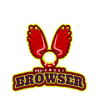 Pro Smart Browser加速器