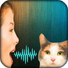 Cat Voice Translator Simulator加速器