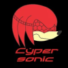 Cyper Sonic