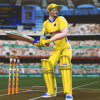 Cricket World Tournament Cup 2019: Play Live Game