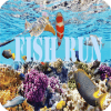 fish koi run 2019