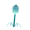 CRISPR Defense