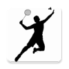 Demo Badminton加速器