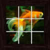Underwater Puzzles - 101 pictures加速器