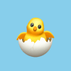 Chicken Wings An Adventure Game for All Ages