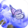 Butterfly Jigsaw Puzzle World加速器