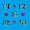 Find the pair low poly