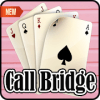 Call Bridge Classic Free加速器