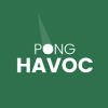 Pong Havoc  Block vs Ball Arkanoid Puzzle Game