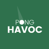 Pong Havoc Block vs Ball Arkanoid Puzzle Game