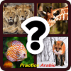 Practice English  Animals加速器