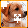 jigsaw puzzle free 2019加速器