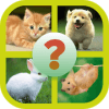 Cute Animals Quiz for Kids加速器