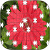 Red Flowers Puzzle加速器