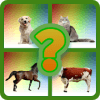 Guess The Domestic Animals