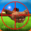 chicken chooter加速器
