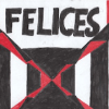 Felices 20加速器