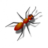 New Ant Smasher