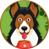 Talking Dog  2019加速器