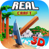 Real Craft 3D加速器