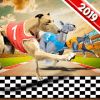 Dog Crazy Race Simulator 2019加速器